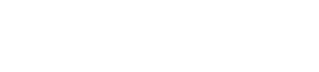 Fischer Panda